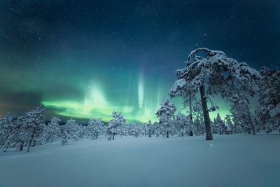 星夜下，白雪覆盖大地